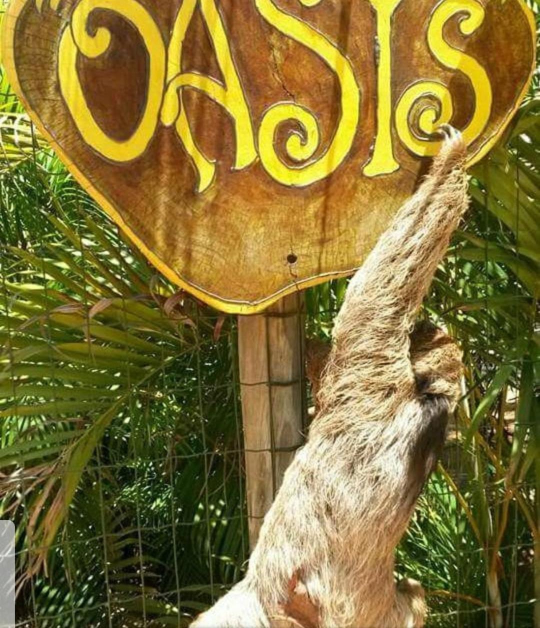 הוילה פראיה דו פורטה Chale "Oasis" מראה חיצוני תמונה